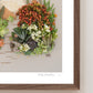 "Desert Dreaming" Flower Print
